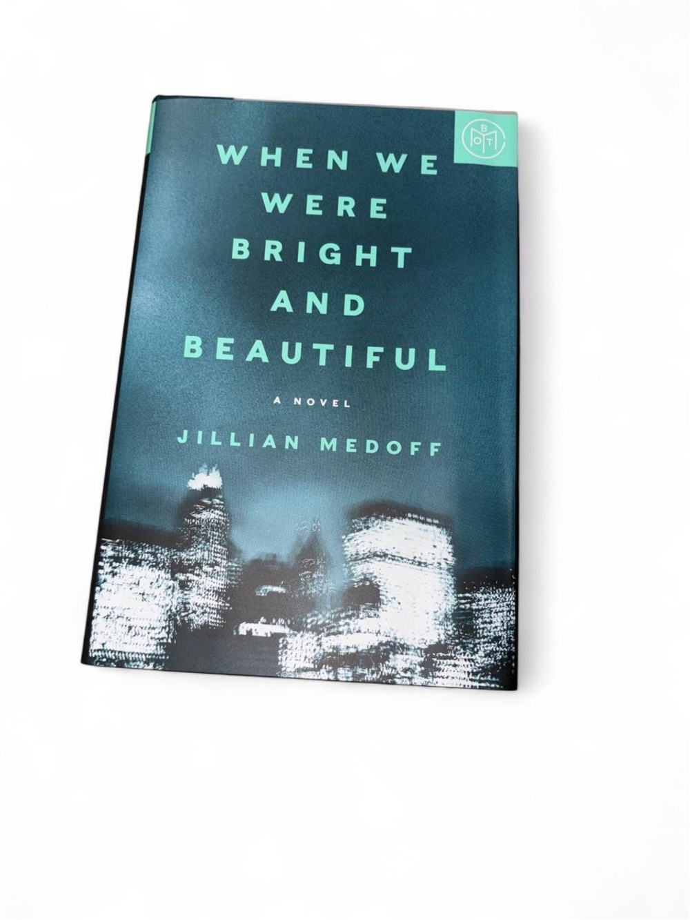 book - when we were bright and beautiful